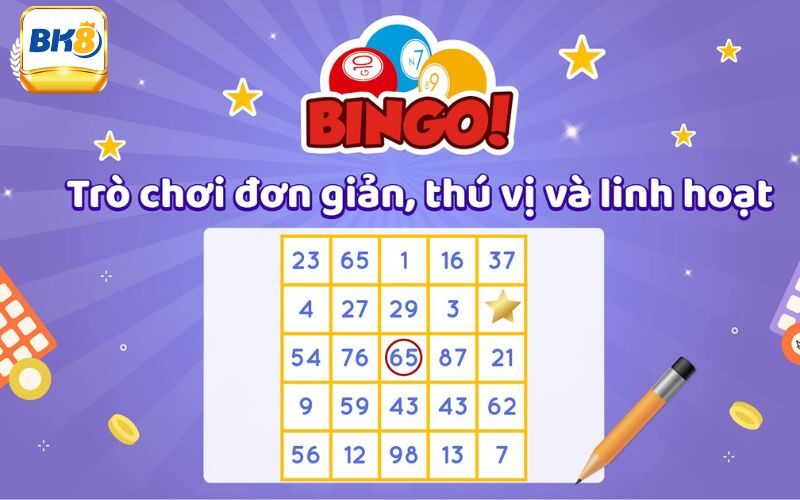 Giải mã Bingo là gì?