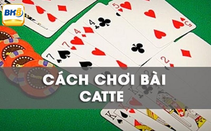 Giới thiệu chi tiết cách chơi bài Catte chính xác